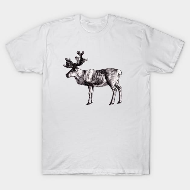 Reindeer Ink Drawing T-Shirt by AquarellChill